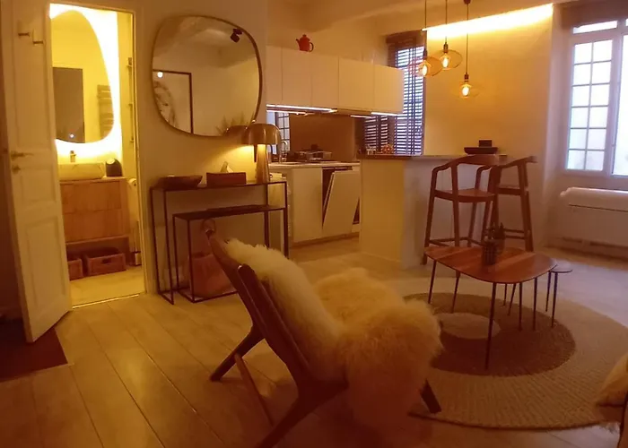 Apartment Luxueux Appartement, Centre Historique 50m Du Port Et De La De La Ponche